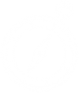 ico3