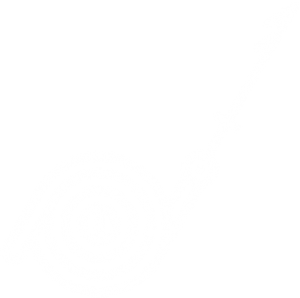 ico4